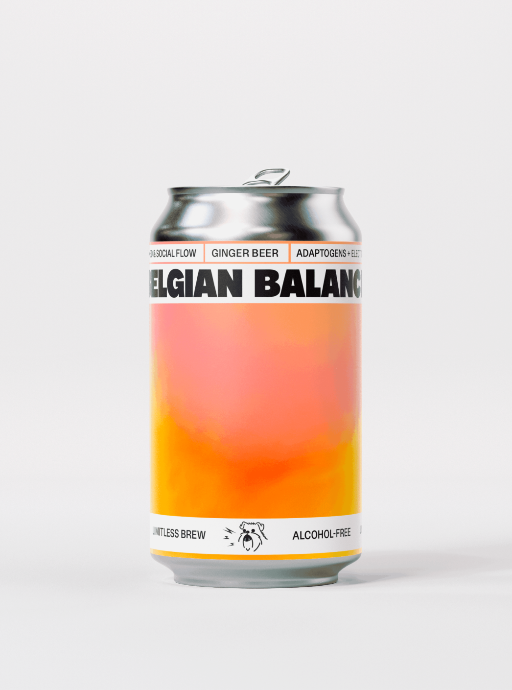 Ginger Beer (Pack of 24) – Belgian Balance